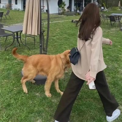 疯狂特警队