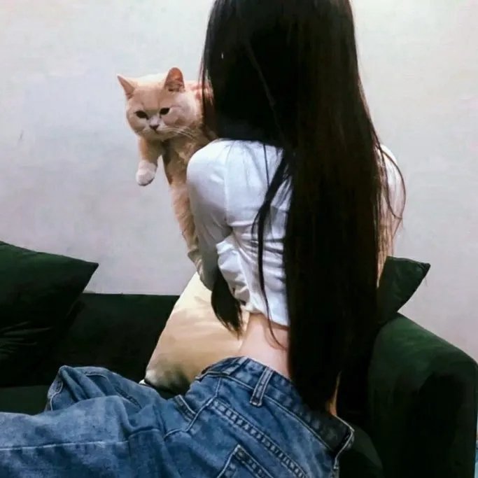 天网狼蛛
