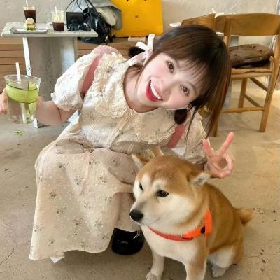 玫瑰复艳时